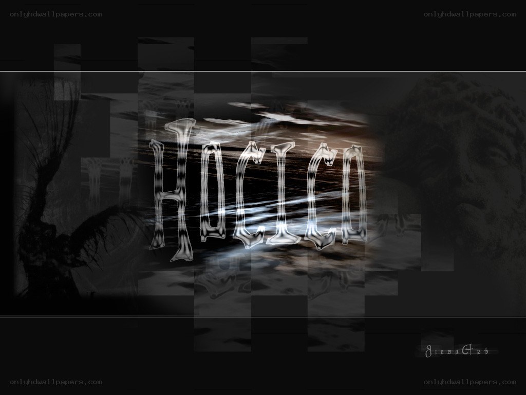 Hacico logo with abstract background