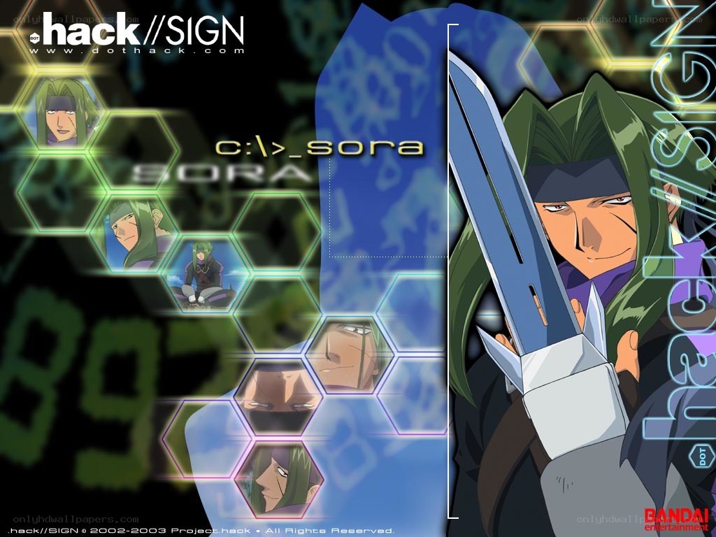 Hack//Sign character Sora