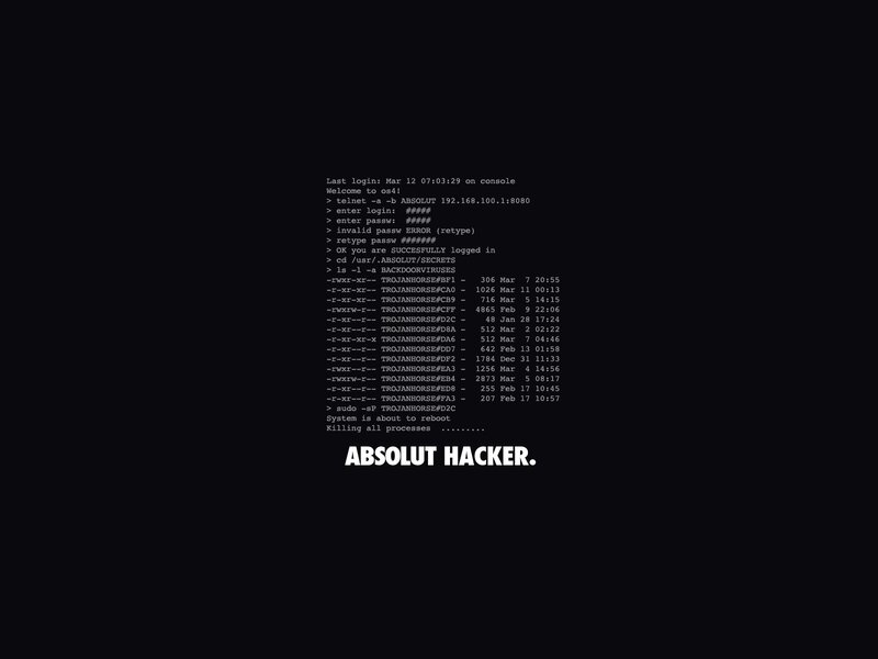 hacker terminal session