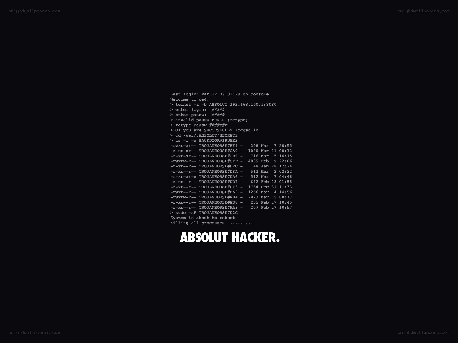 hacker terminal session