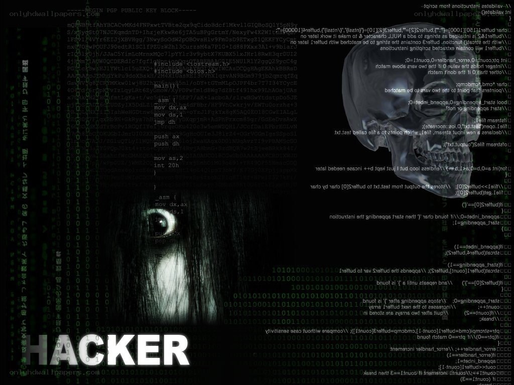hacker with skull and code