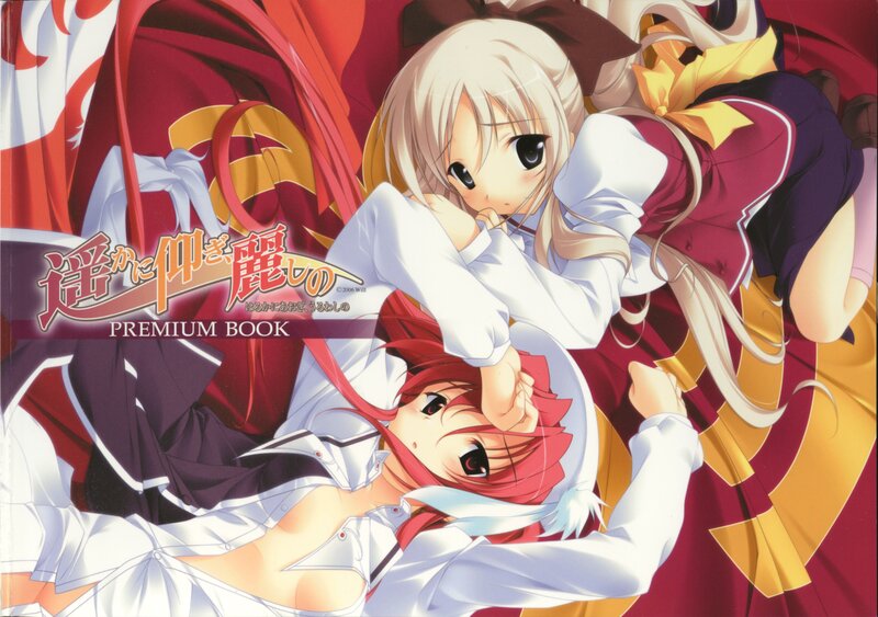 Haganai Premium Book cover