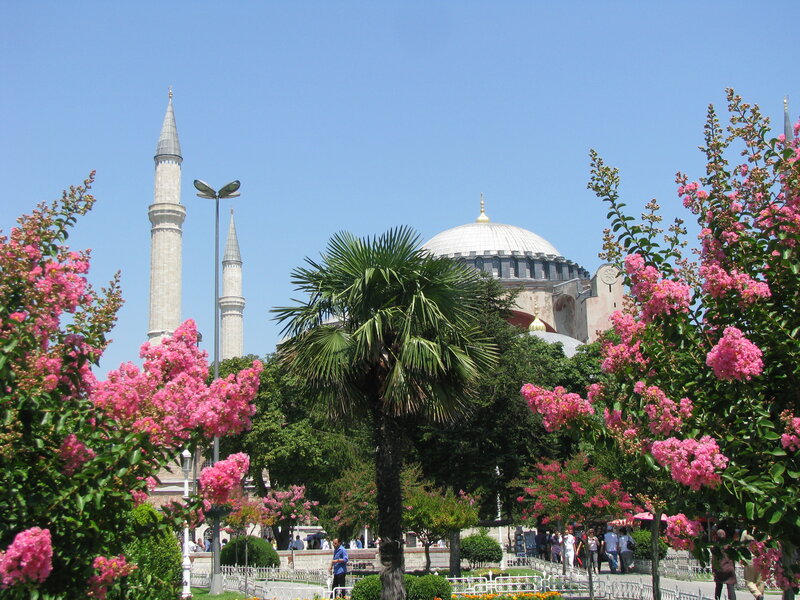 Hagia Sophia with blooming trees