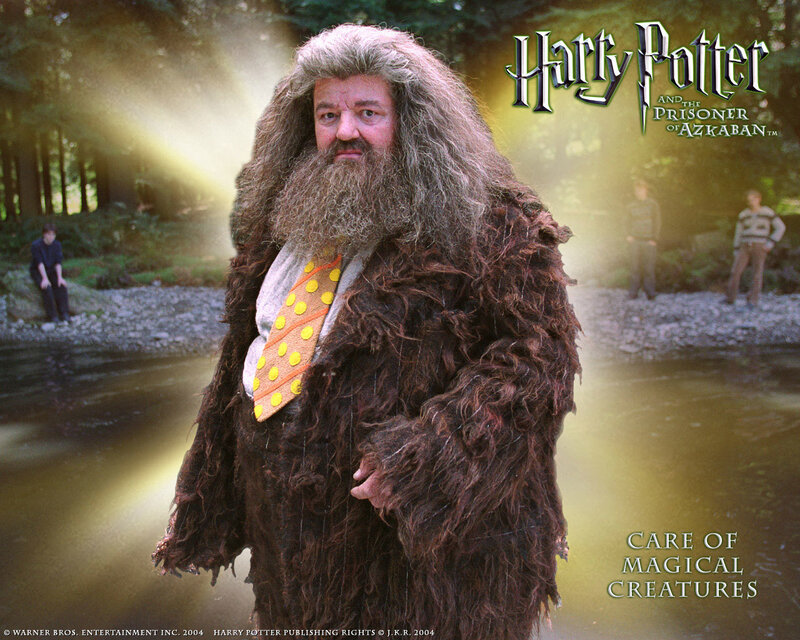 Hagrid in Furry Coat