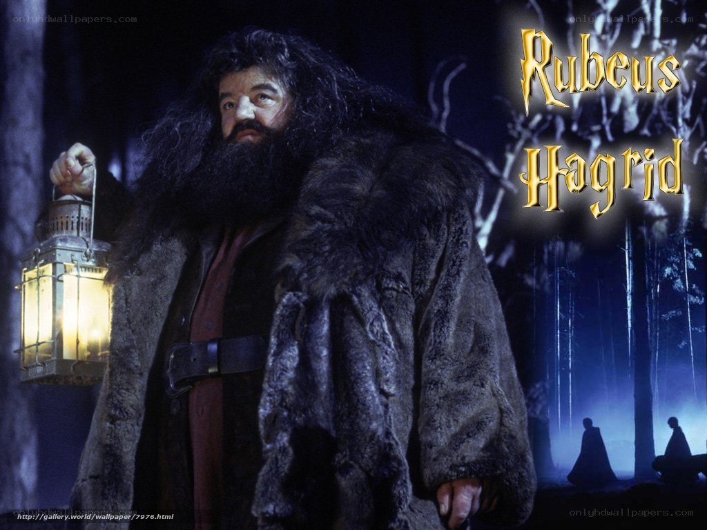 Hagrid in the forest
