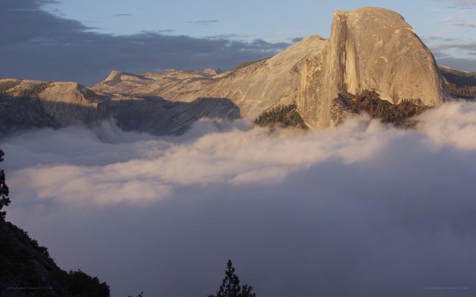 Half Dome above the clouds