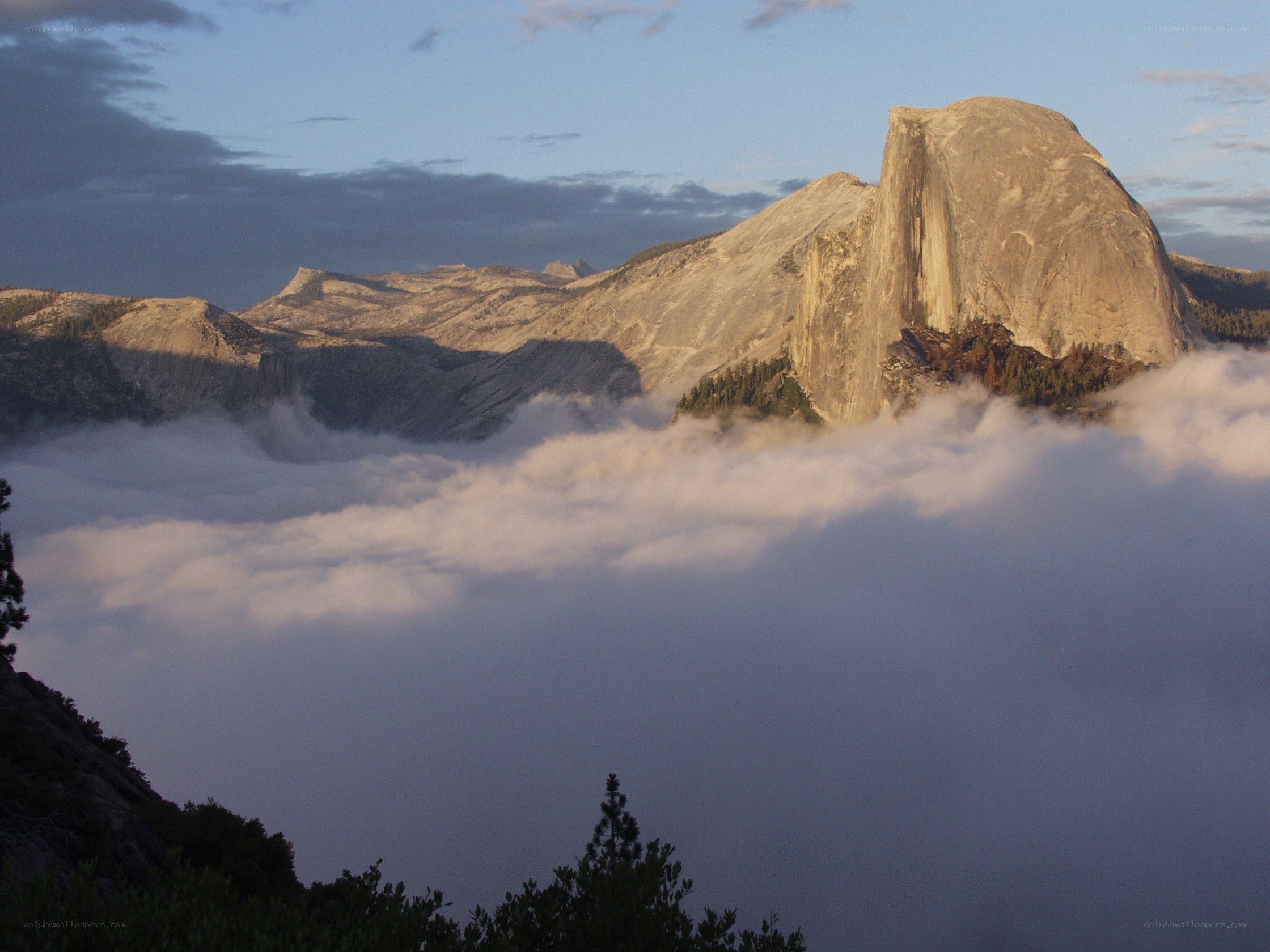 Half Dome above the clouds