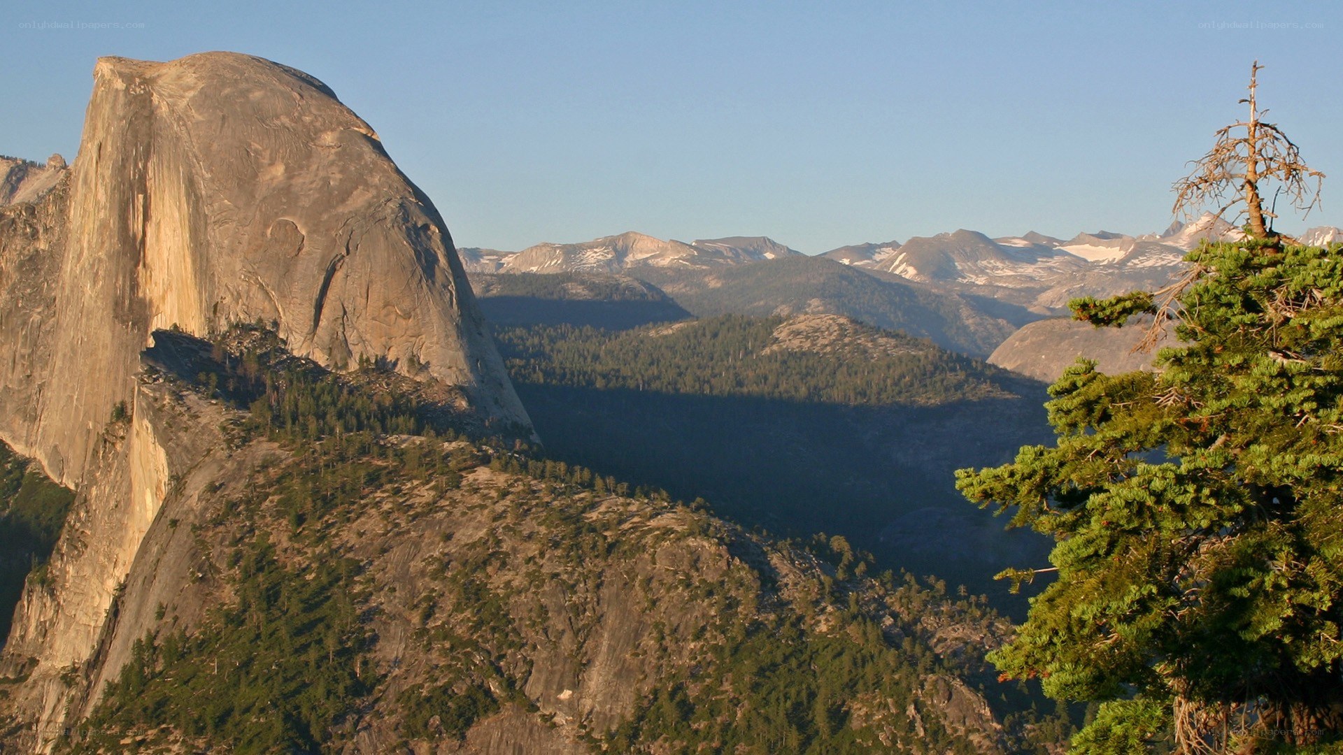 Half Dome in Yosemite