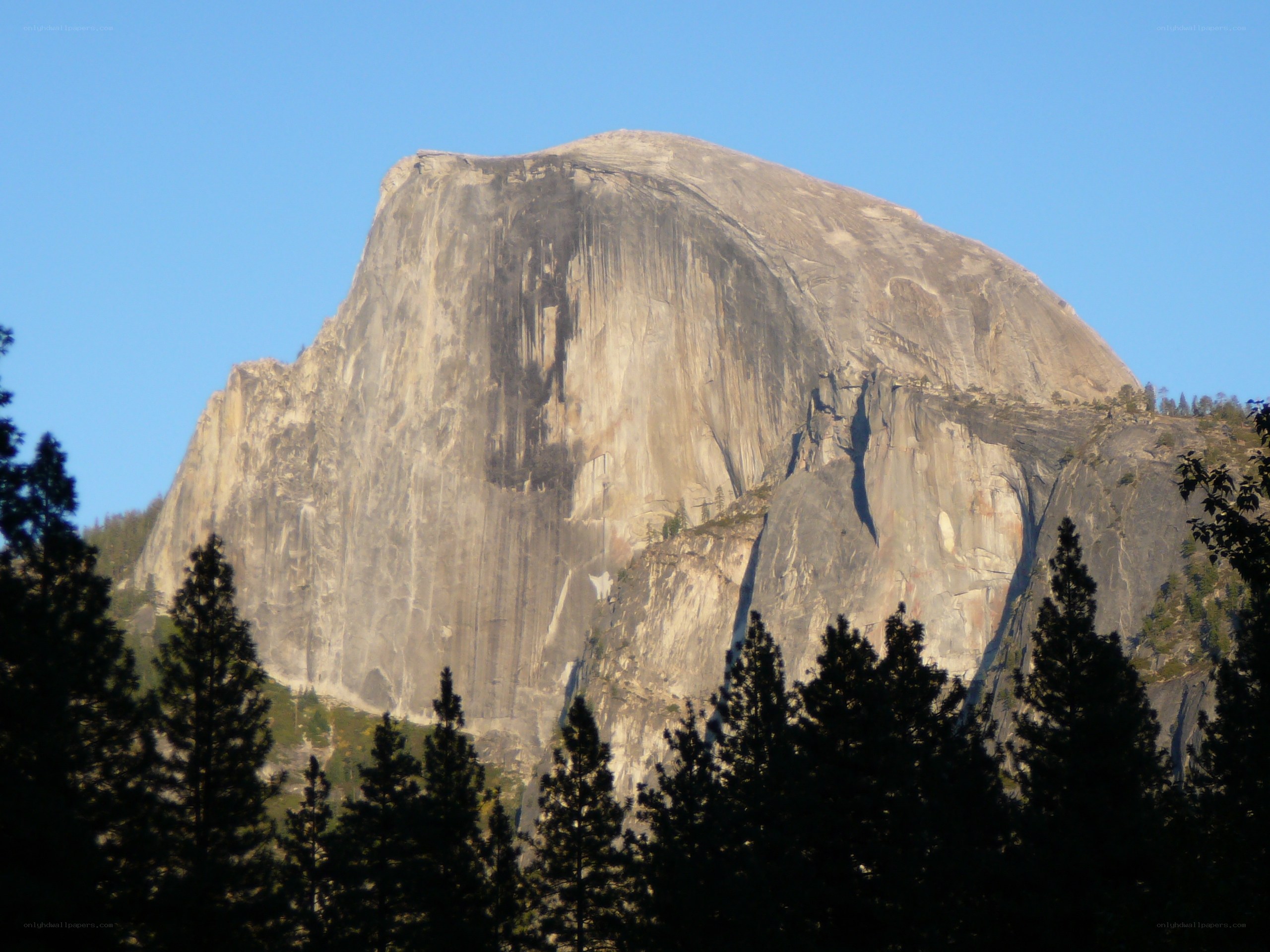 Half Dome in Yosemite