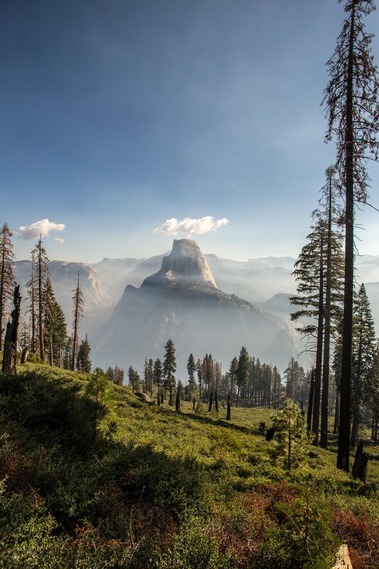 Half Dome in Yosemite — Blue, Serene, Morning, Photograph, Mountain, Forest