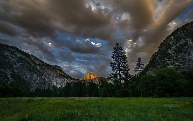 Half Dome in Yosemite — Green, Dramatic