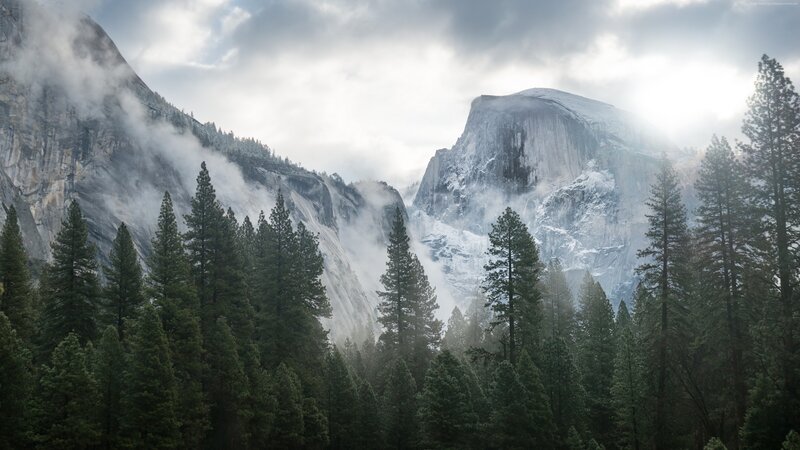 Half Dome in Yosemite — Green, Misty, Morning, Photograph