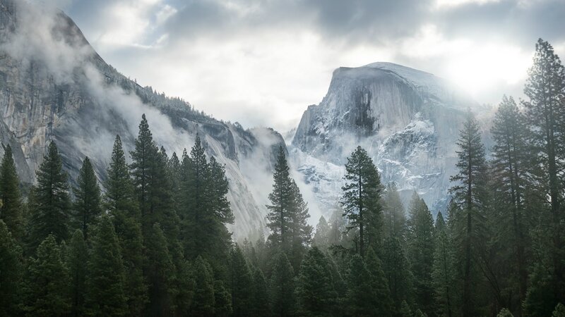 Half Dome in Yosemite — Green, Misty