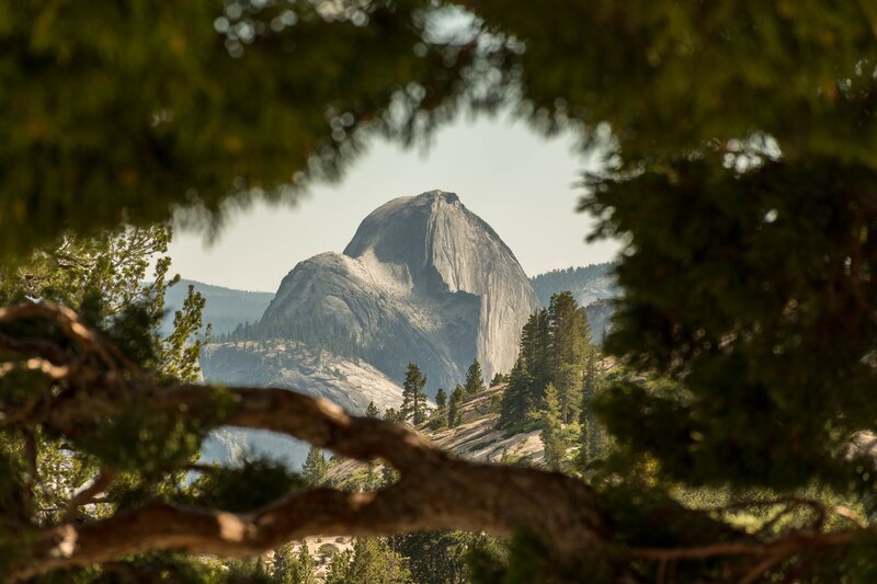 Half Dome in Yosemite — Green, Serene, Afternoon, Photograph, Trees, Mountain