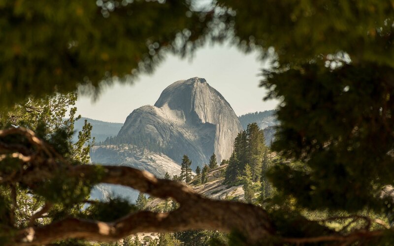 Half Dome in Yosemite — Green, Serene, Afternoon, Photograph, Trees