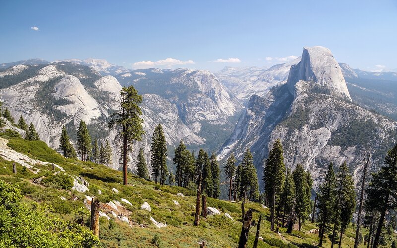 Half Dome in Yosemite — Green, Serene, Afternoon