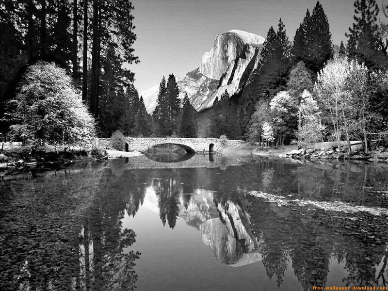 Half Dome Reflection — Black