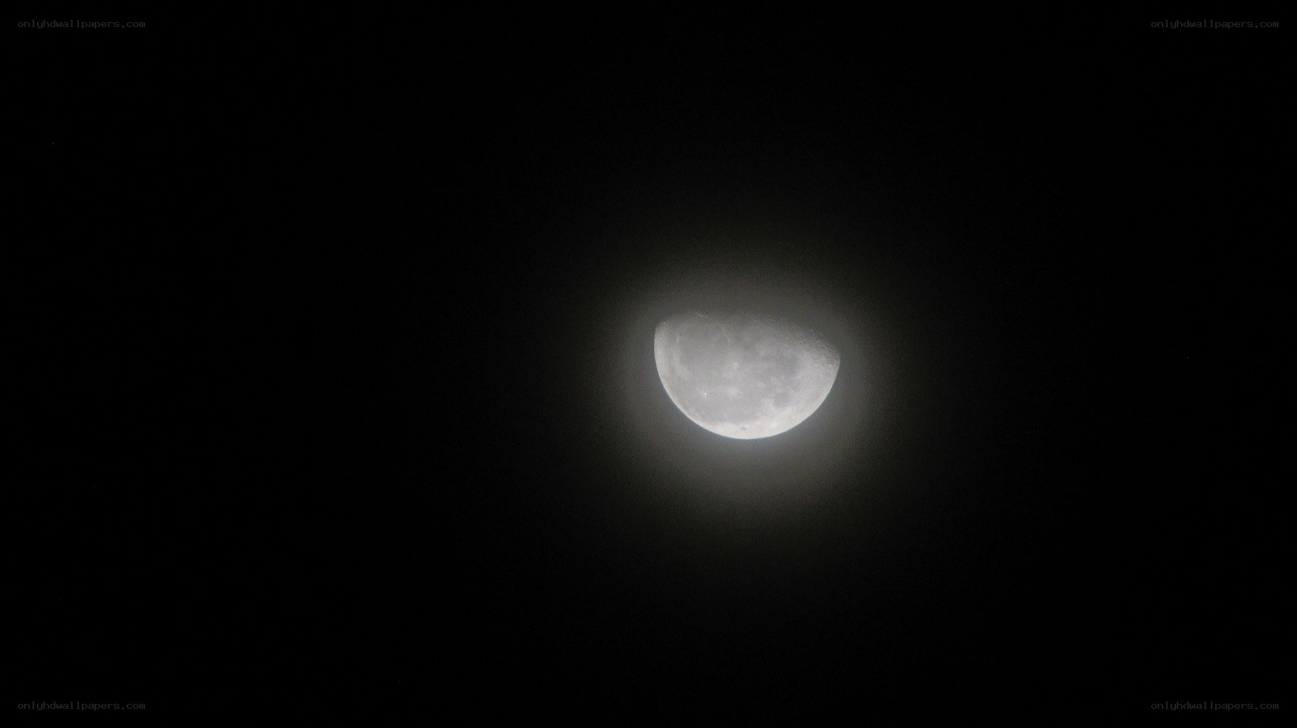 Half moon in night sky
