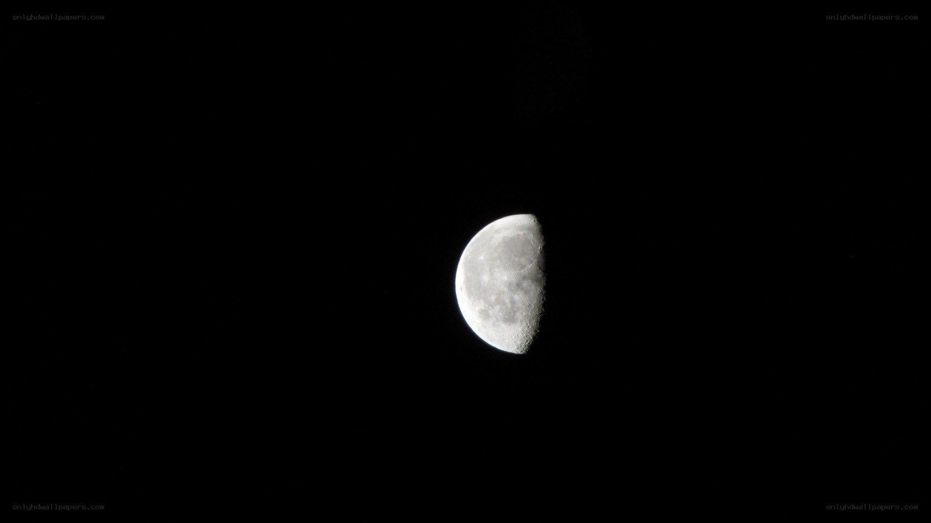 Half moon in night sky