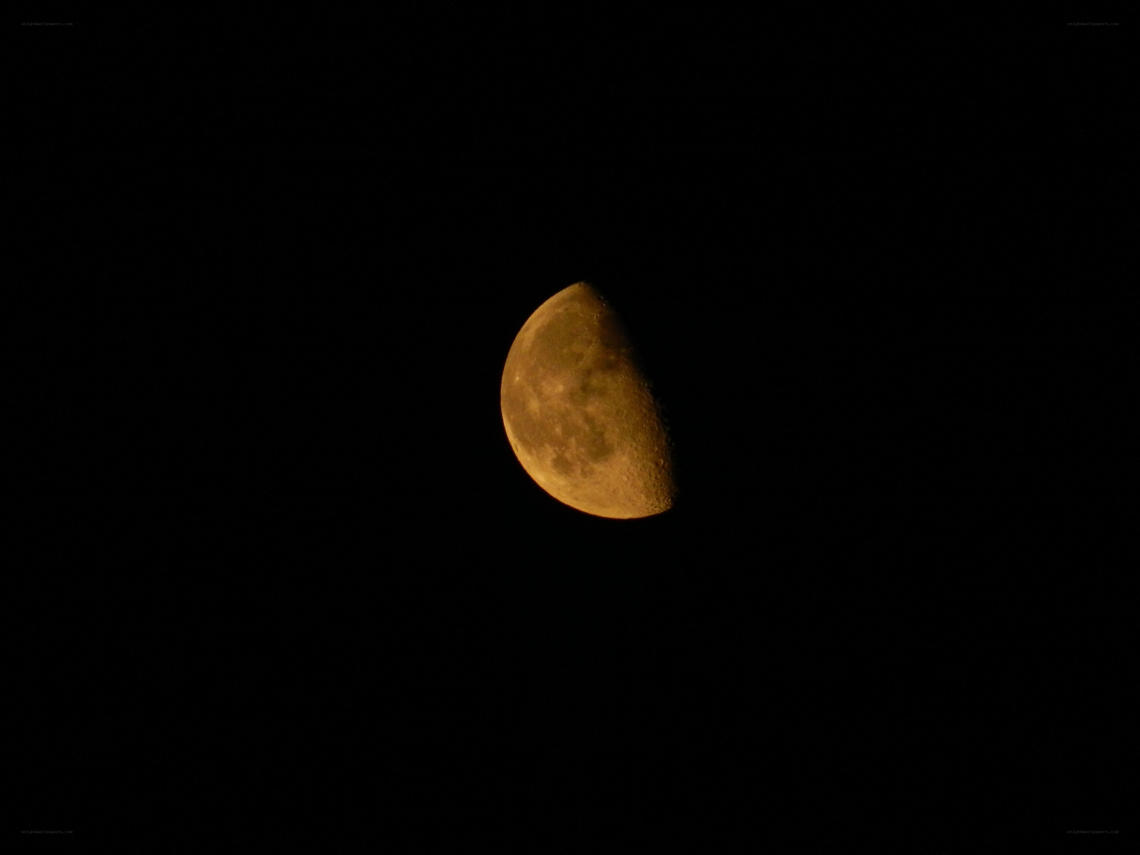 Half moon in night sky