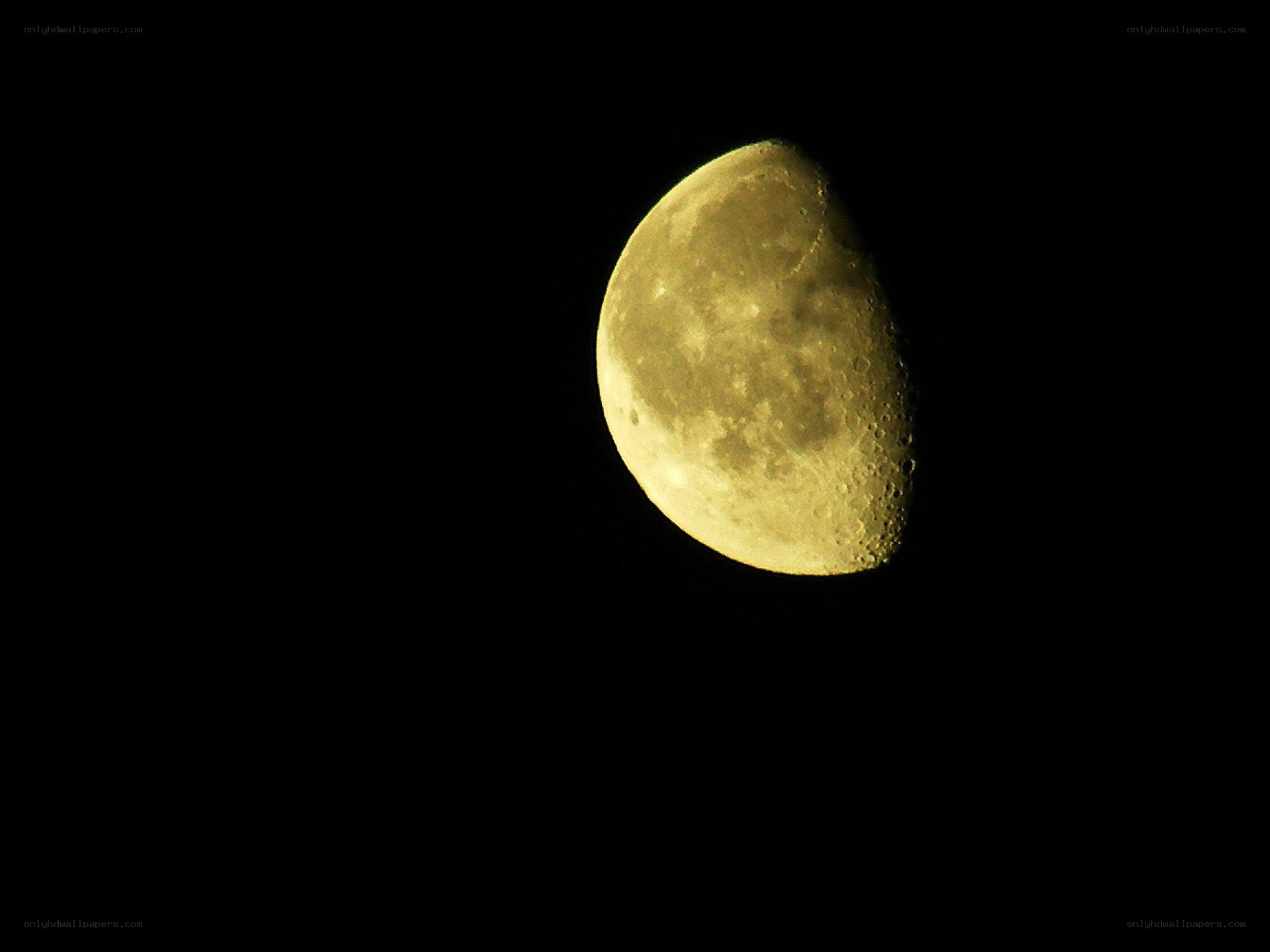 Half moon in night sky