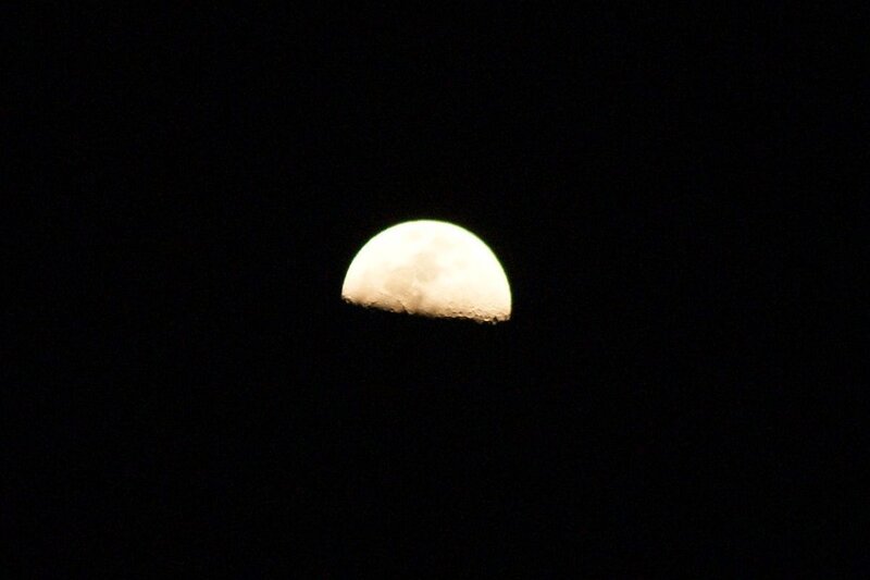 Half Moon in Night Sky — Black