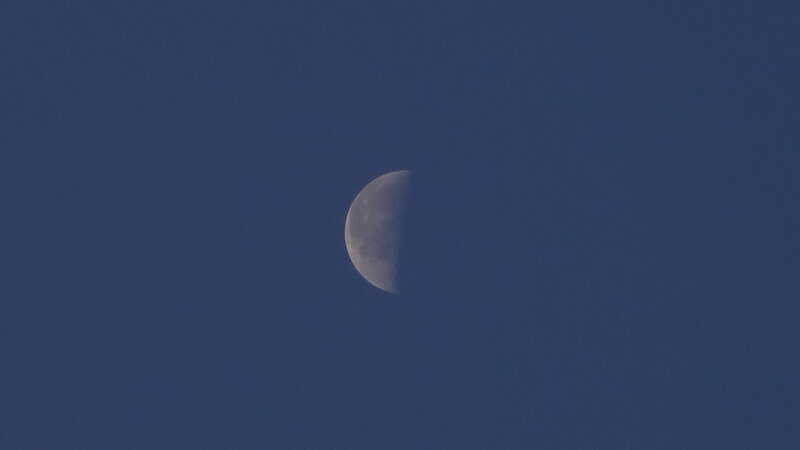 Half Moon in Night Sky — Blue