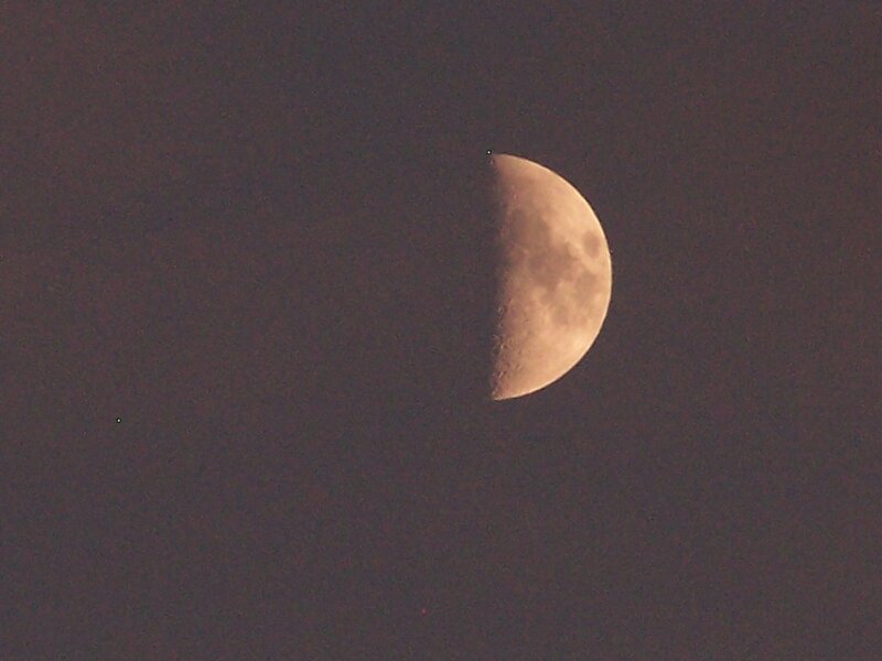 Half Moon in Night Sky — Gray, Serene