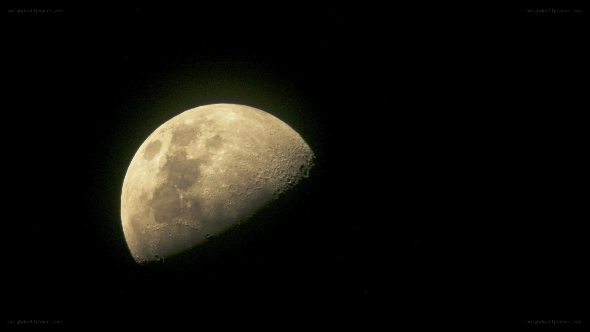 Half moon in night sky