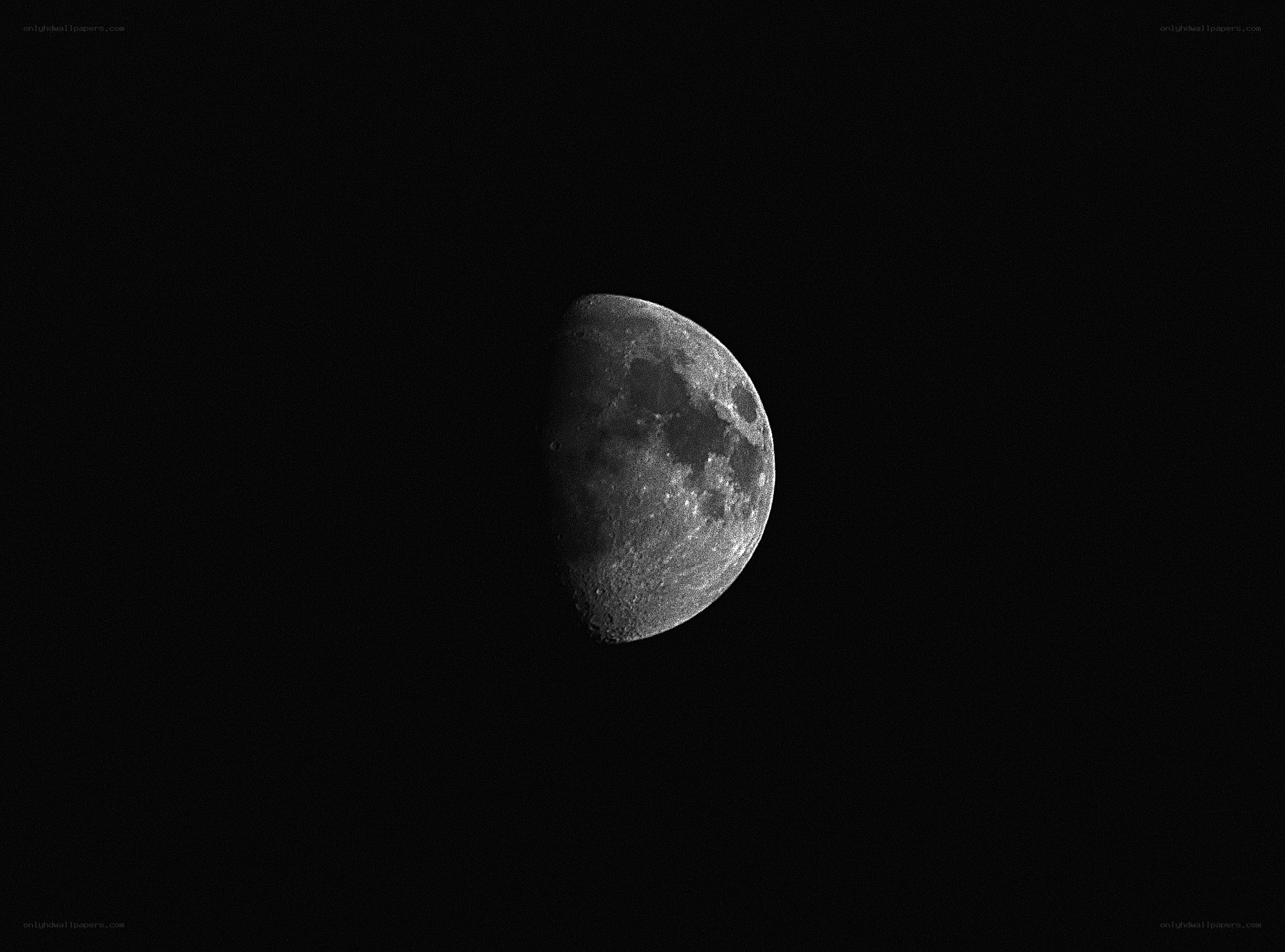 Half moon in the night sky