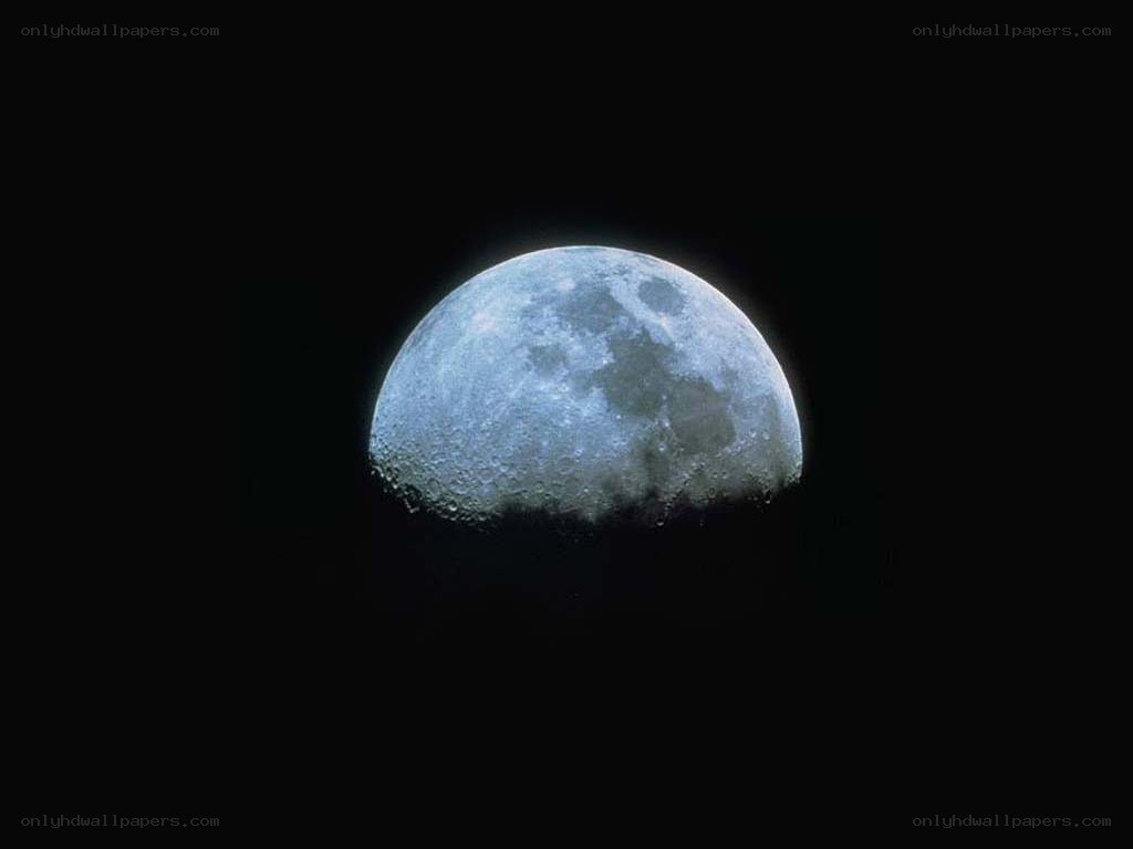 Half moon in the night sky