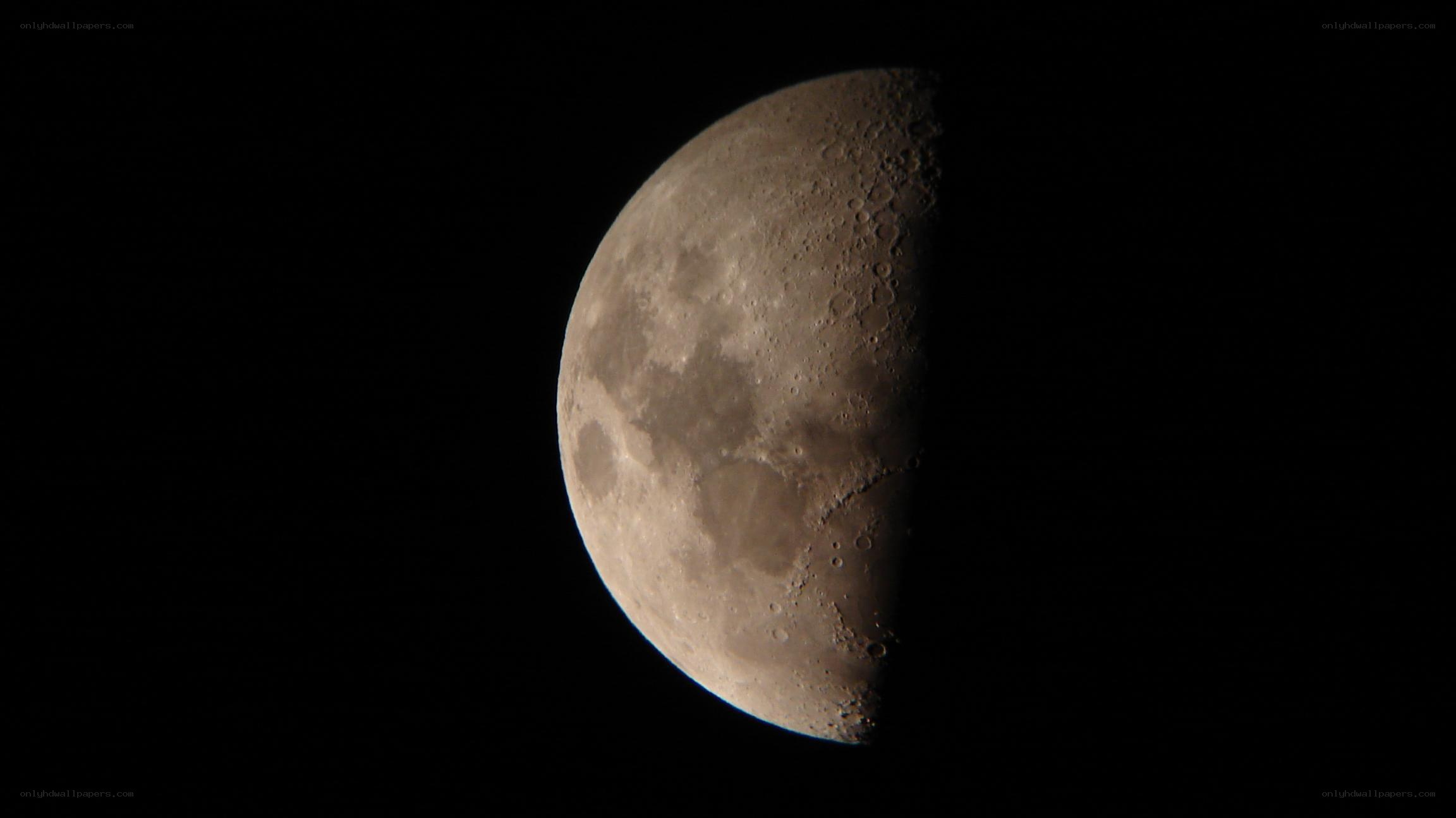 Half moon in the night sky