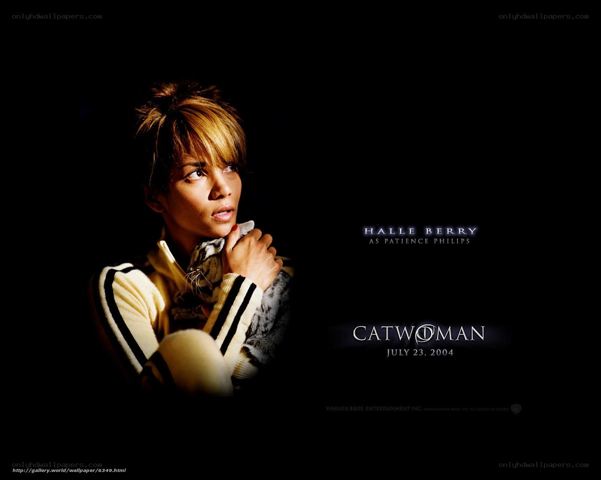 Halle Berry as Catwoman