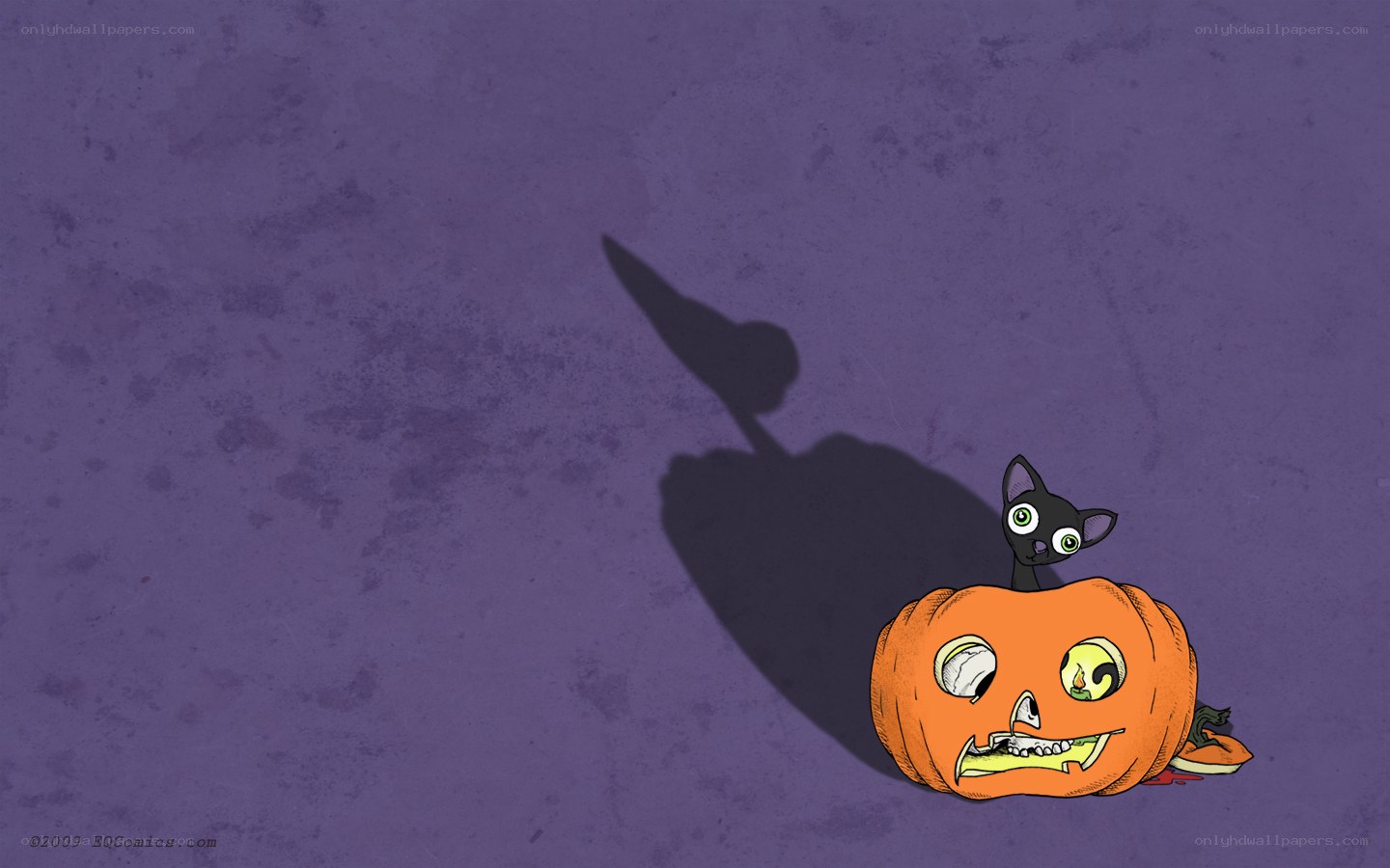 Halloween cat and pumpkin
