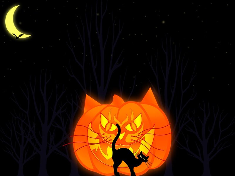 Halloween cat and pumpkin