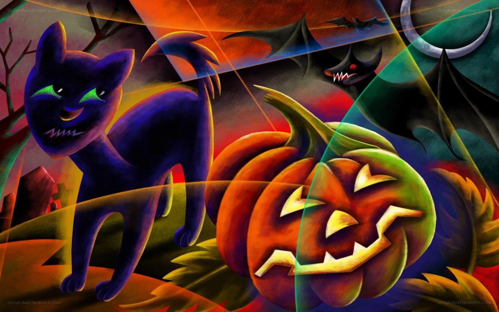 Halloween cat and pumpkin