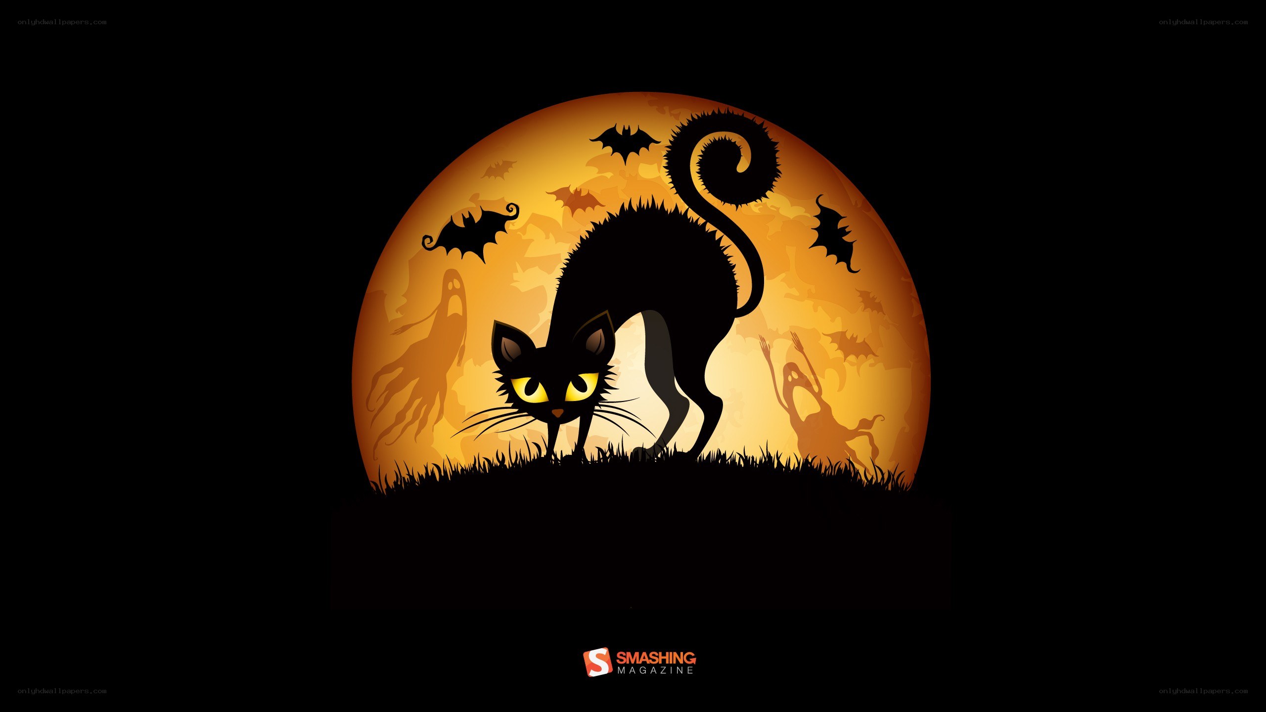 Halloween cat under moon