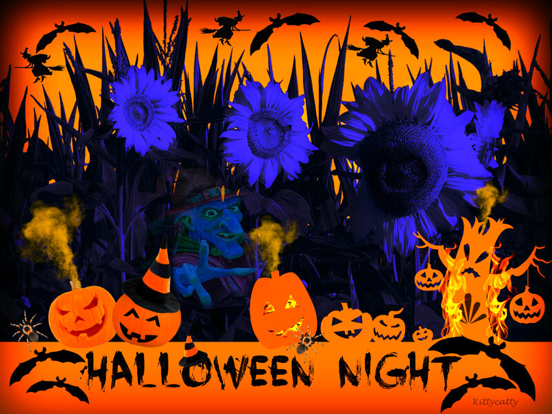 Halloween Cornfield Scene