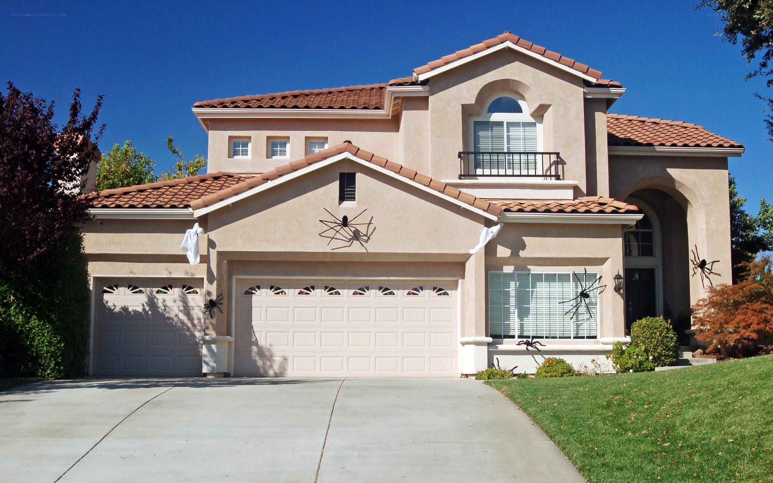 Halloween-decorated house