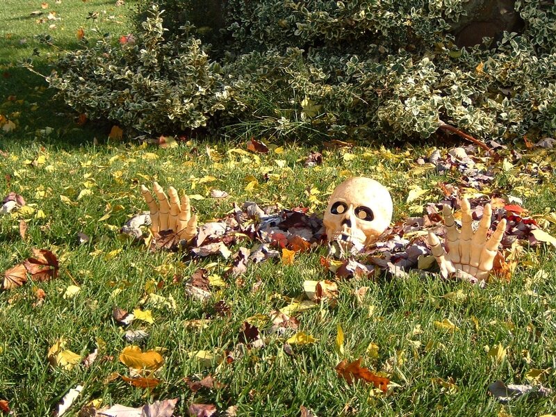 Halloween decoration in yard