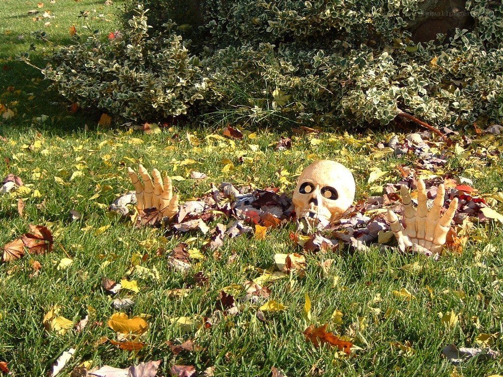 Halloween decoration in yard