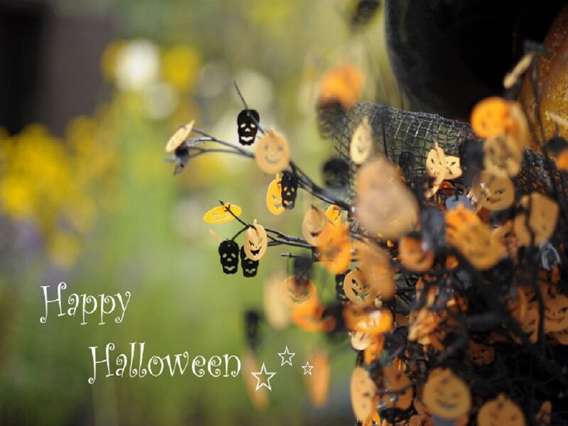 Halloween Decorations on Branch