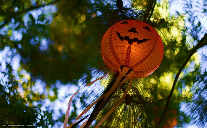 Halloween lantern in trees