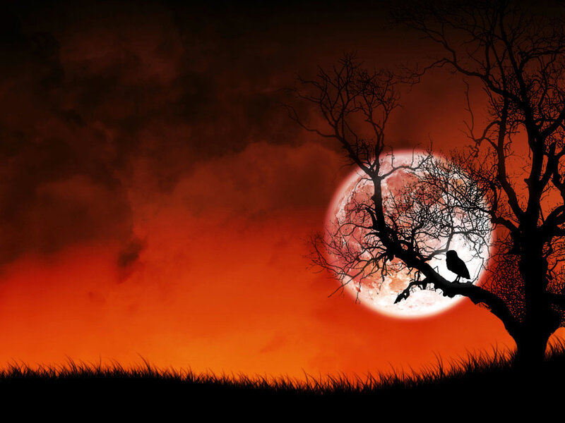 Halloween moon with crow