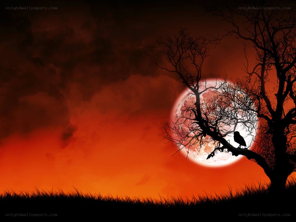 Halloween moon with crow