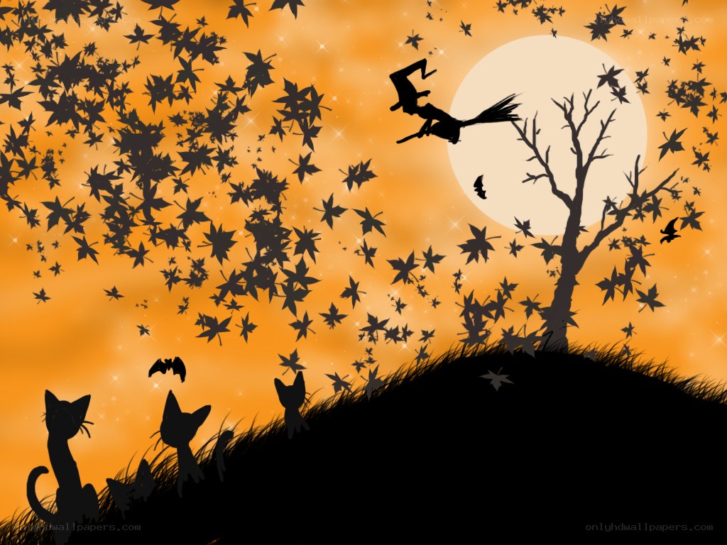 Halloween night with cats and witch