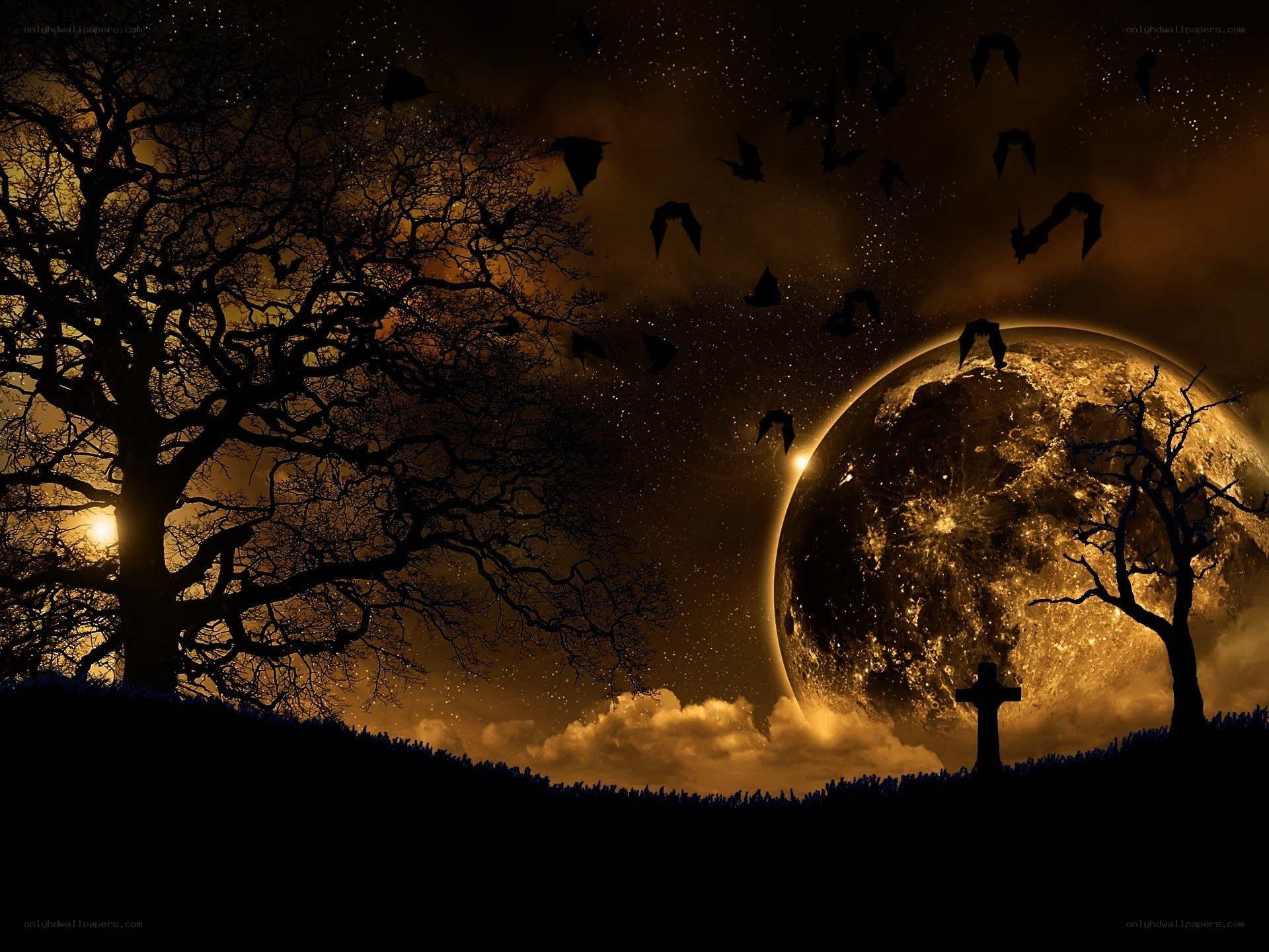 Halloween night with full moon