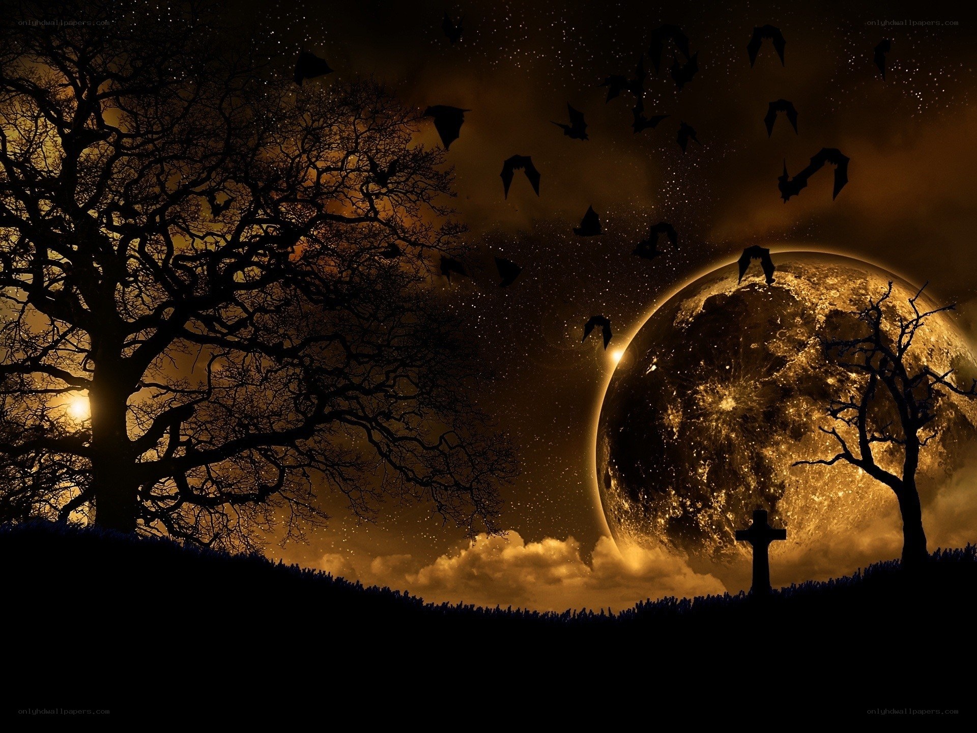 Halloween night with full moon