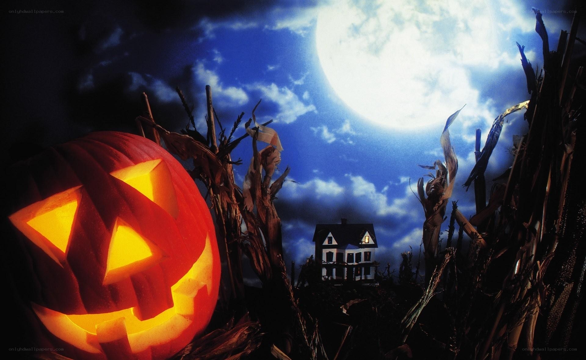Halloween night with jack-o-lantern