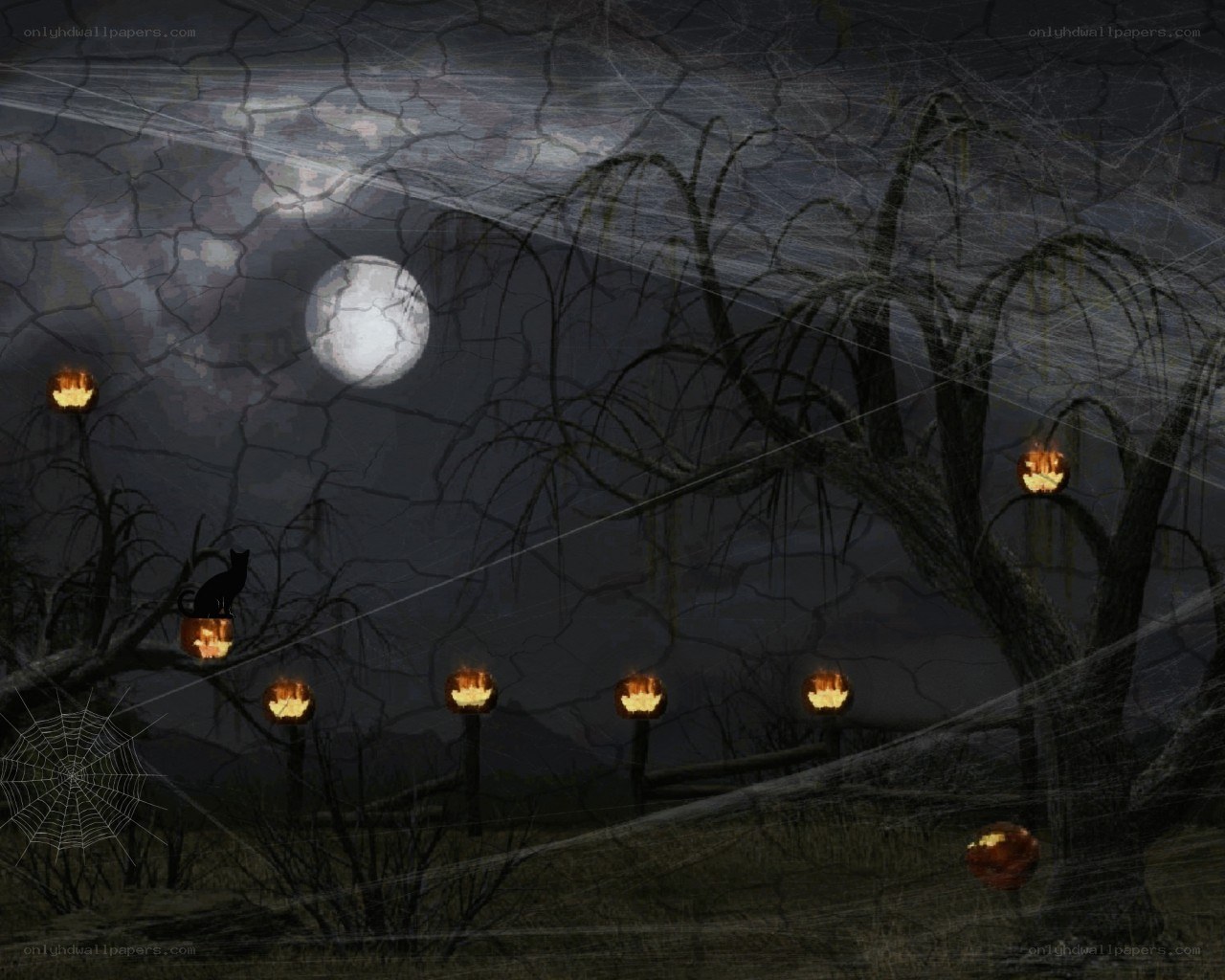 Halloween night with jack-o-lanterns